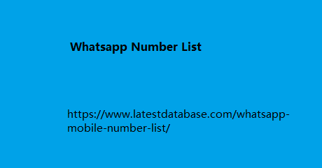 WhatsApp Number List